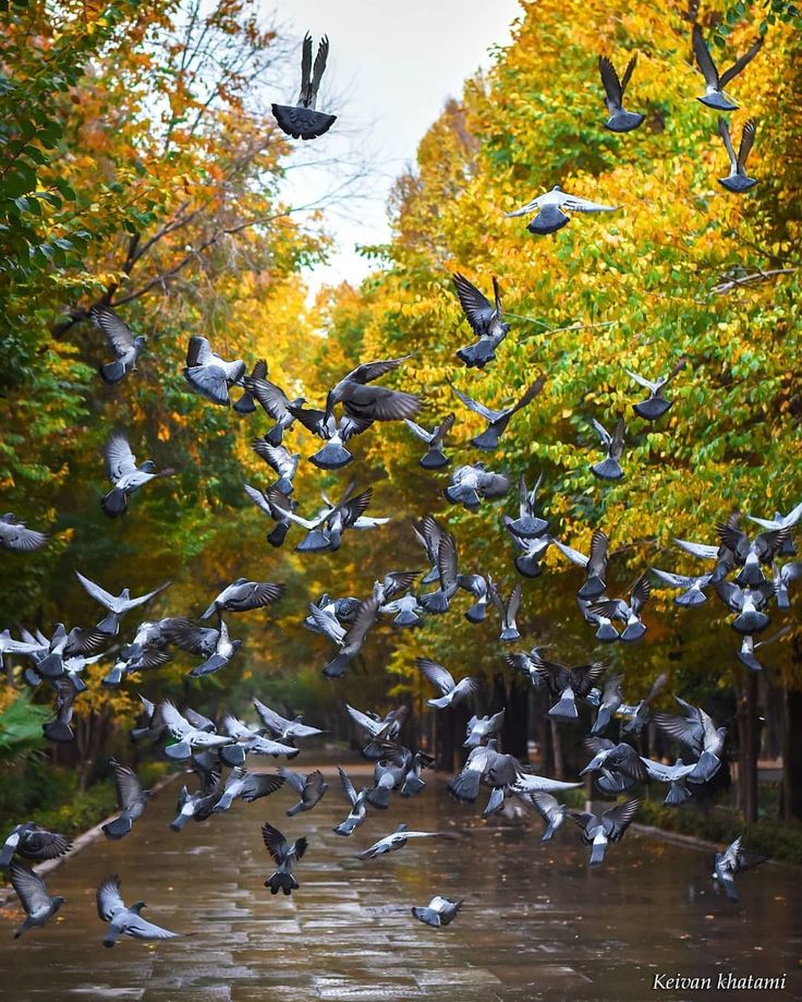 parsyifal's tweet image. پس اصفهان، کِی کارت پستالی میشه ؟ 🥹