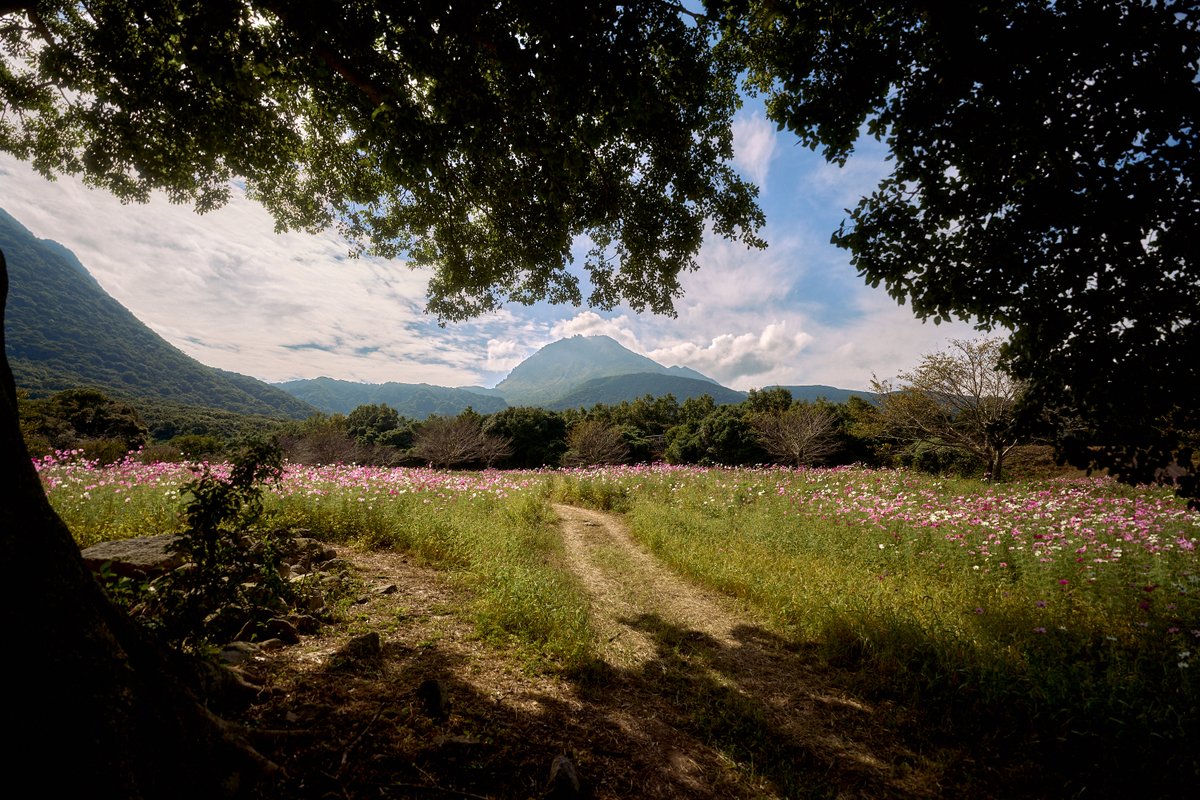 shintake_photo's tweet image. Peaceful Days