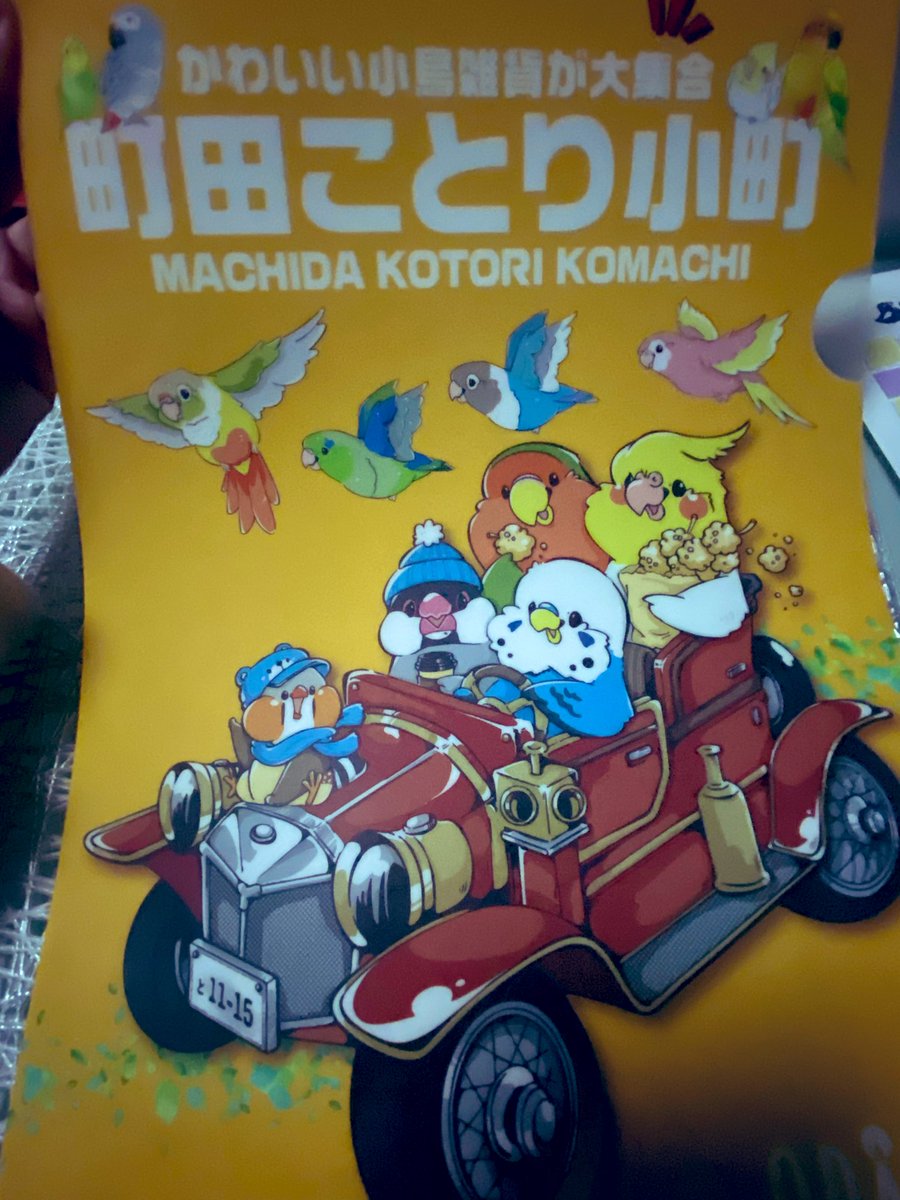 二羽の小鳥 ピッピの飼い主 on X