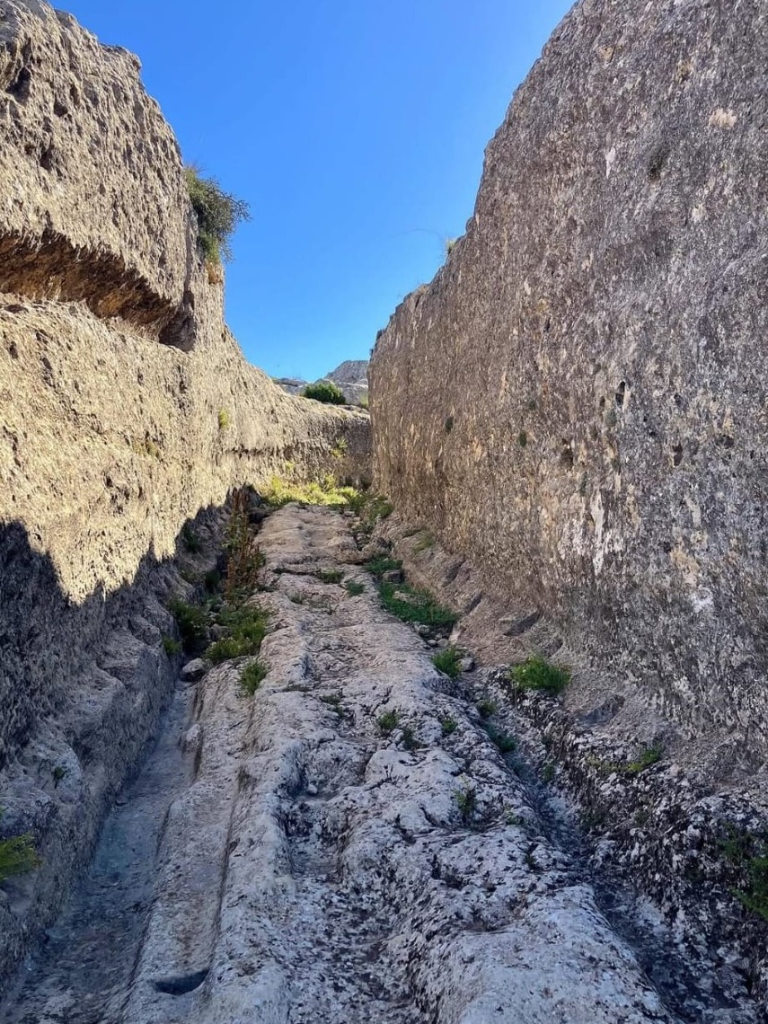 Ayto. de Ayora tweet media