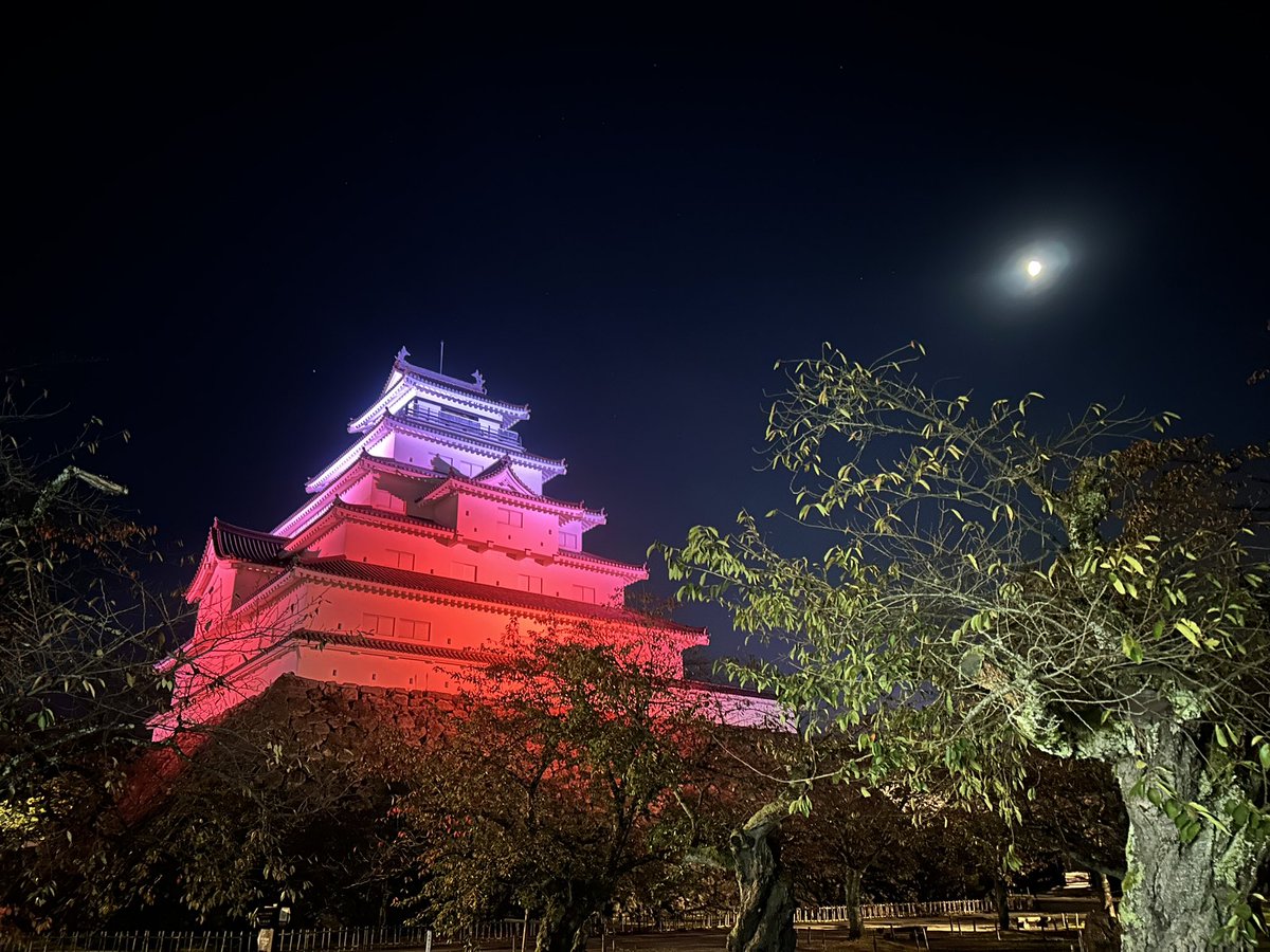 結城 Amazon | テンヨー(Tenyo) メタリックナノパズル 名城・歴史的建物