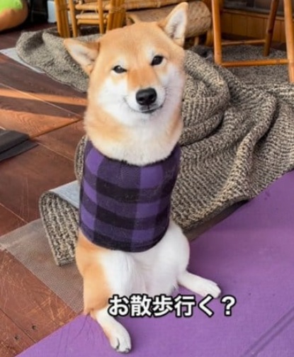 子犬のへや on X