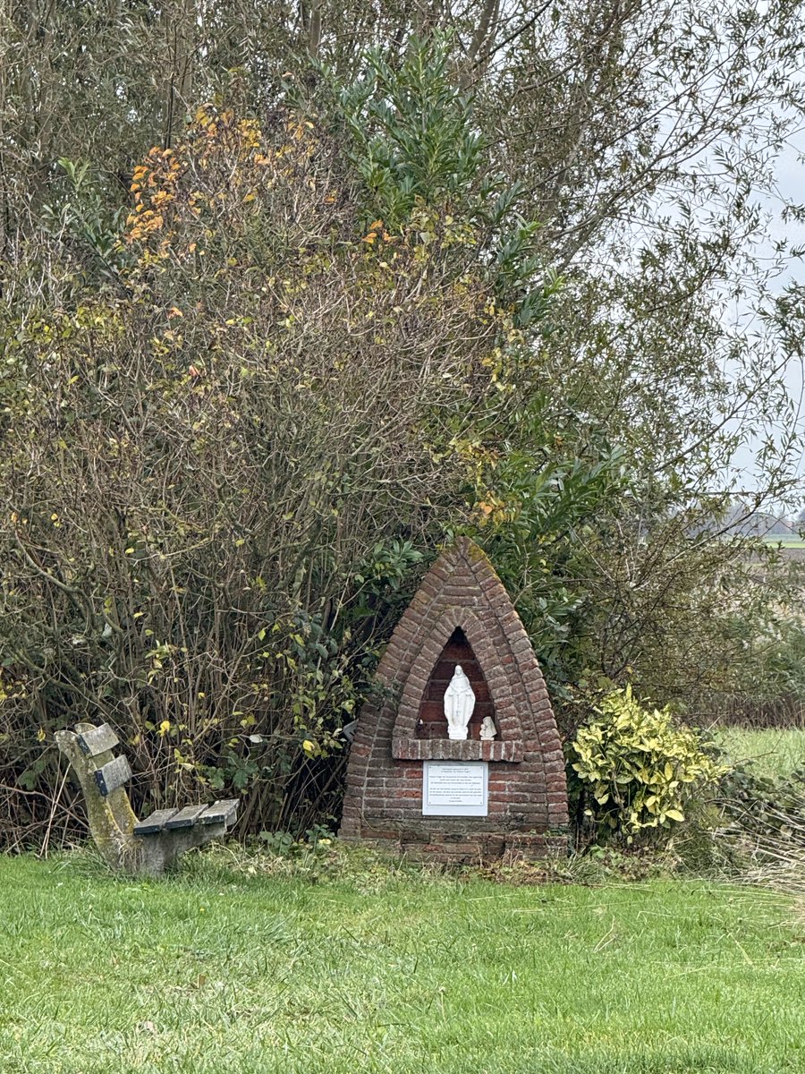 Bij de Gaternissekreek tussen Sasput en Schoondijke! 
Goedemorgen wens jullie een fijne donderdag toe!😘🌤️☕️🍀