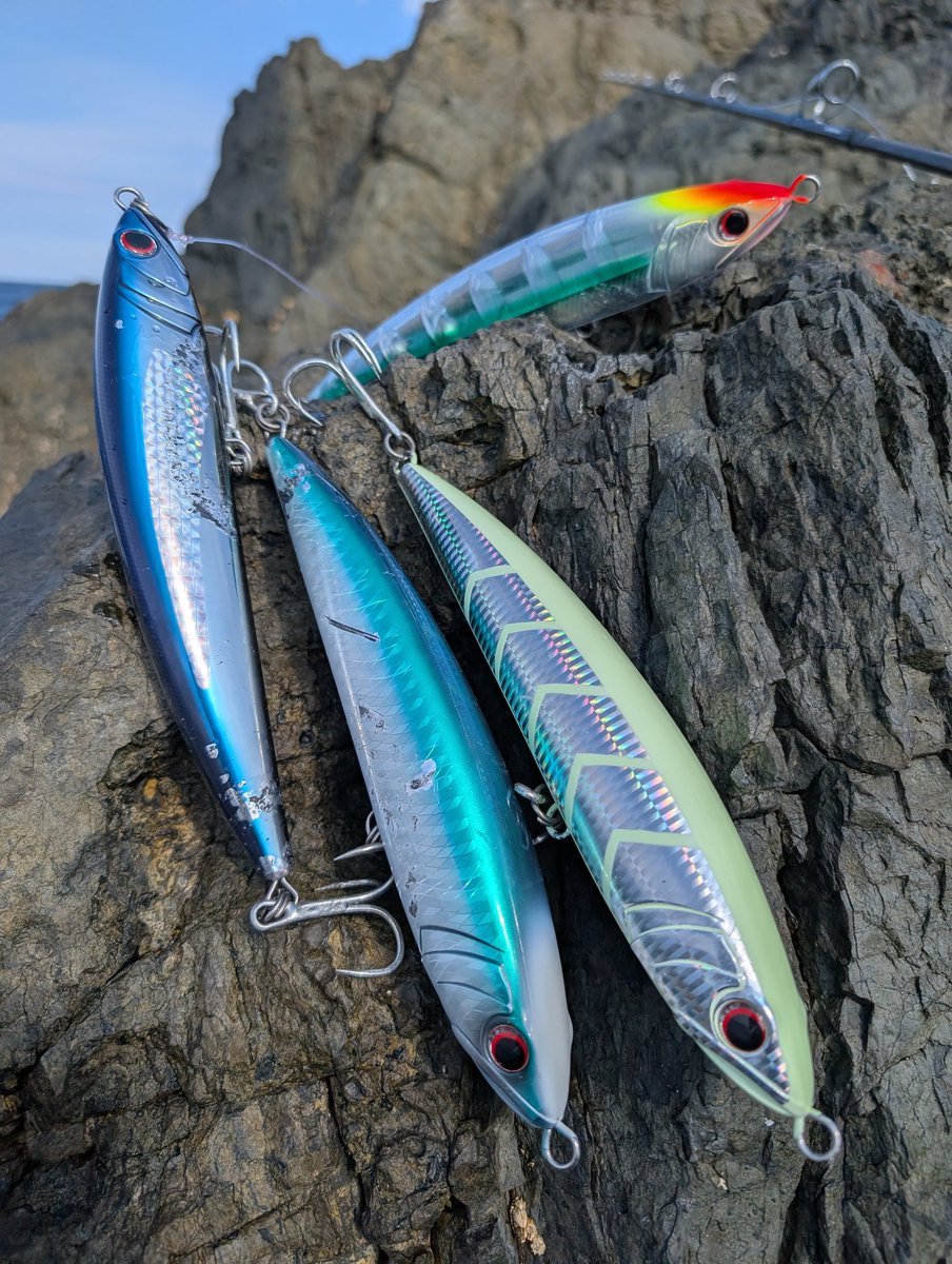 あおいプロ🌴(KFC) (@proaoi_wwwwww) / Posts / X