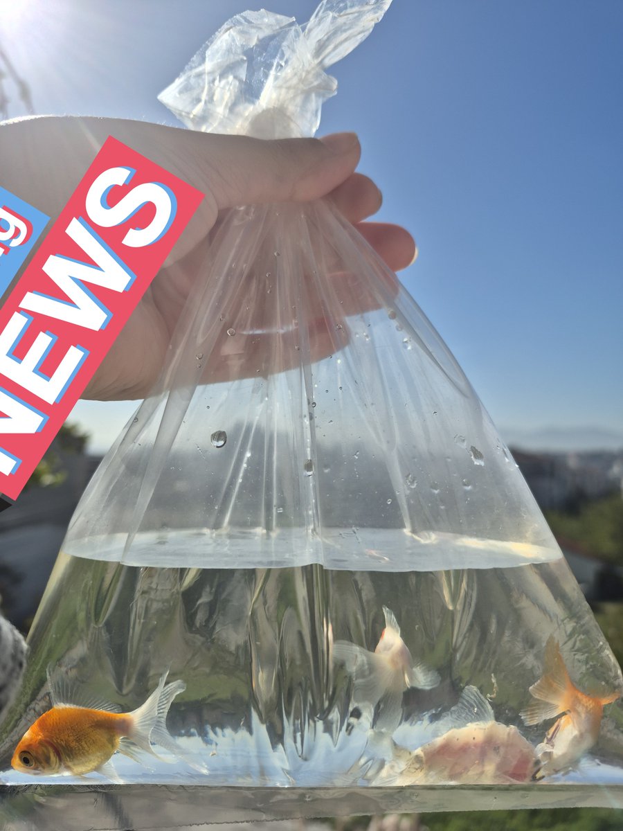 Mehtap_yldrm_'s tweet image. Güne bir sürprizle başlamak🤗