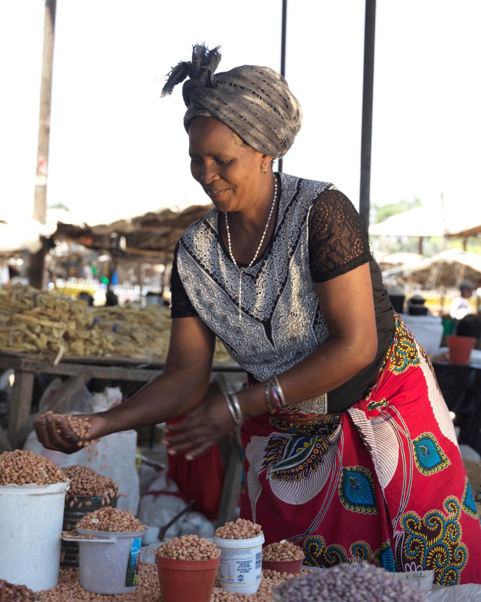 Don’t miss out! Our newsletter brings you exclusive updates on MicroLoan’s impactful initiatives and behind-the-scenes glimpses of our work in Malawi, Zambia, Zimbabwe and South Africa! Subscribe: zurl.co/HThzR #EmpowerWomen Photo: Peter Caton