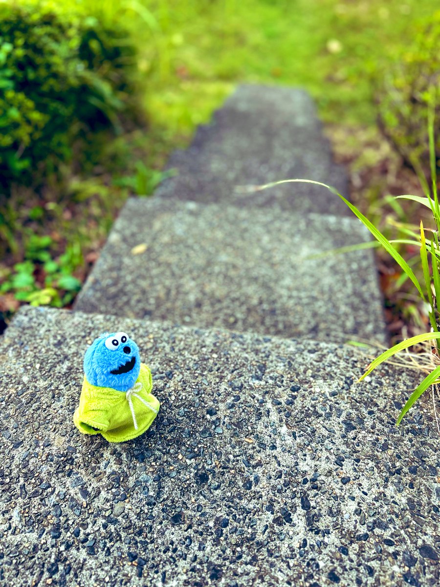 おさんぽスンスン🍃