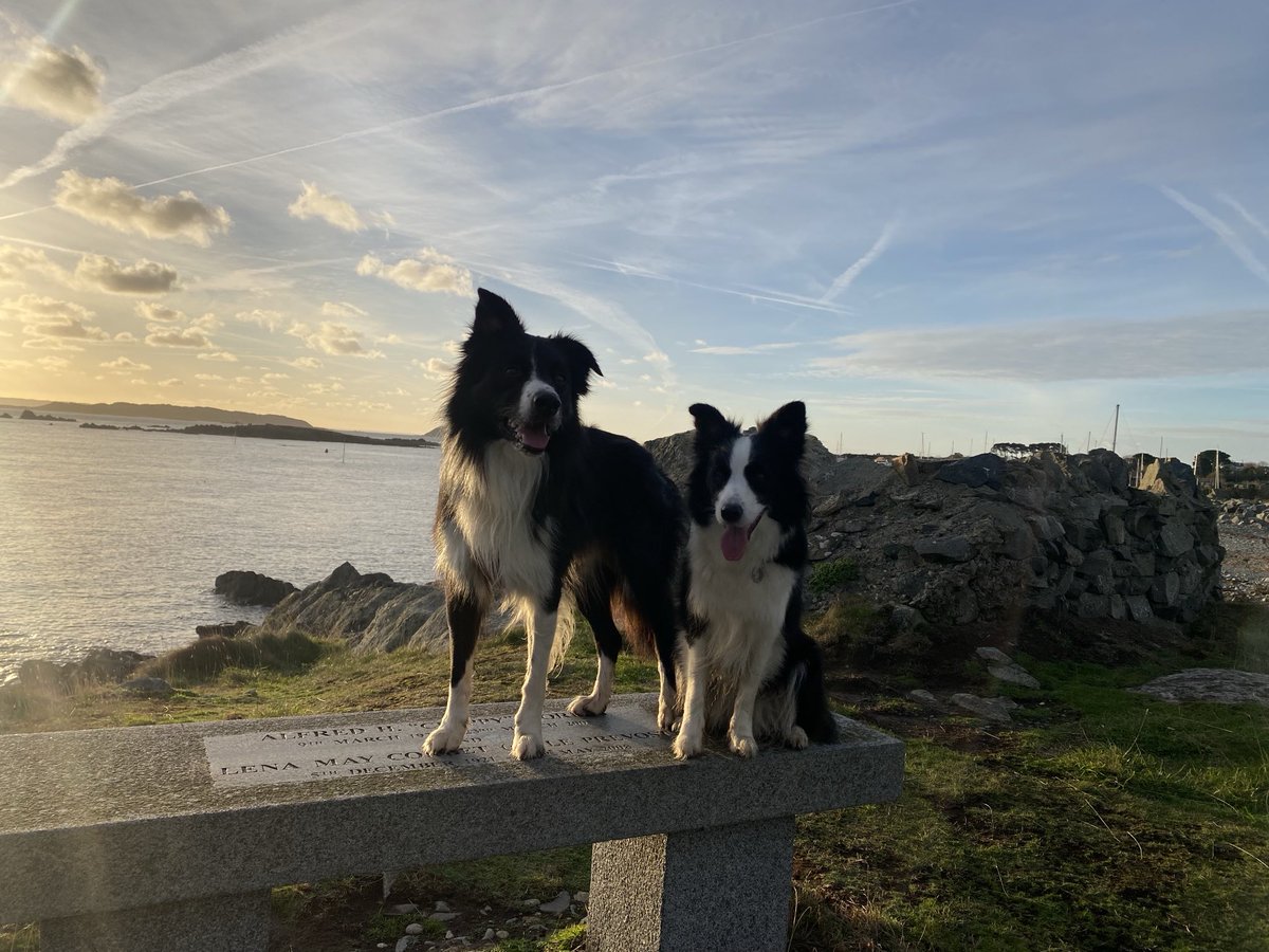 We’ve been out doing early morning adventures with Luna for her birthday! She didn’t listen to a word mum said 😂 
But we had loads of fun running around 🥳