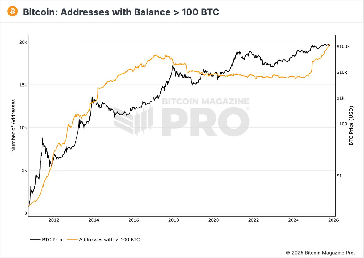 Bitcoin addresses holding over 100 $BTC hit an all-time high

Less Bitcoin on CEXs → more true holders