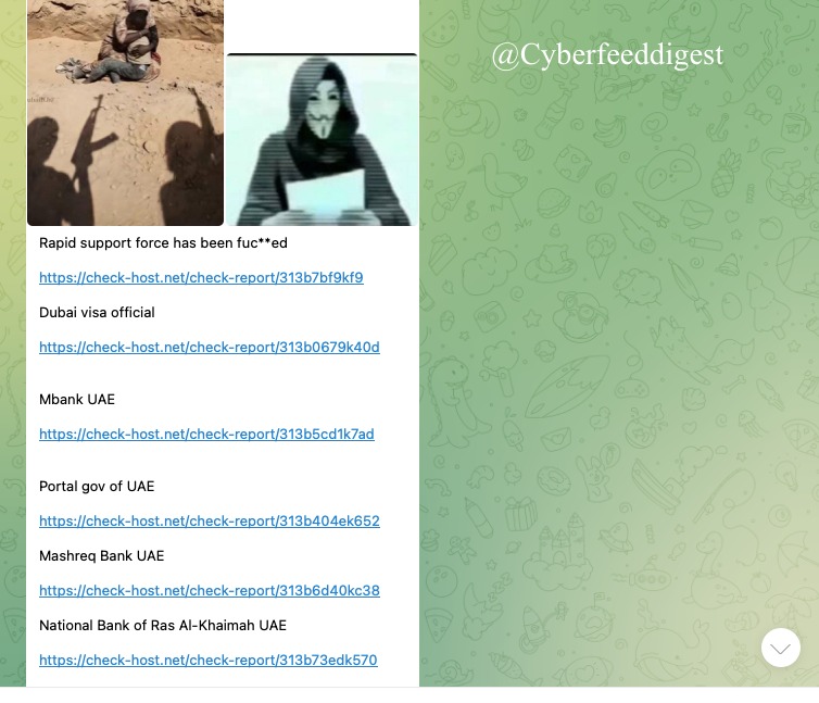 cyberfeeddigest's tweet image. Multiple #UAE sites hit by #DDOS: 

check-host[.]net/313b7bf9kf9(general);
check-host[.]net/313b0679k40d(Dubai visa);
check-host[.]net/313b5cd1k7ad(Mbank);
check-host[.]net/313b404ek652(gov);
check-host[.]net/313b6d40kc38(Mashreq);
check-host[.]net/313b73edk570(RAK Natl Bank)