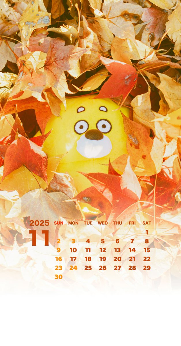 11月カレンダー🍁