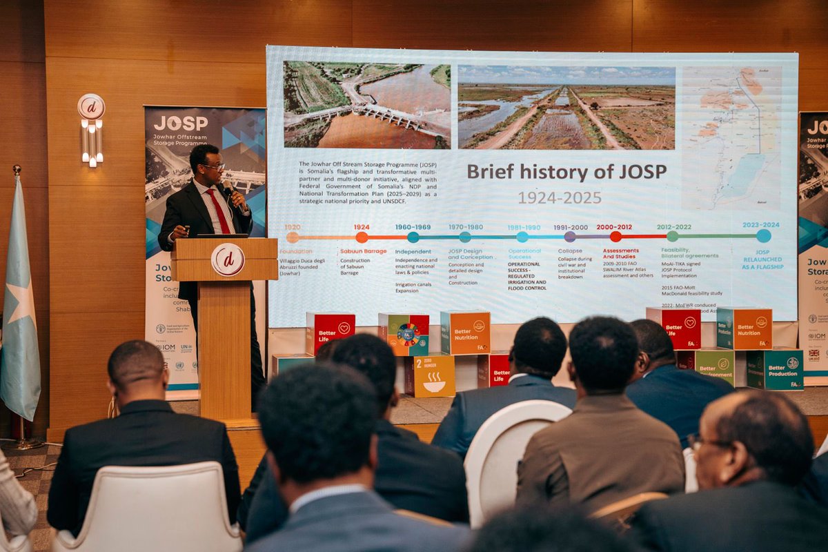 Ariane Luff tweet media