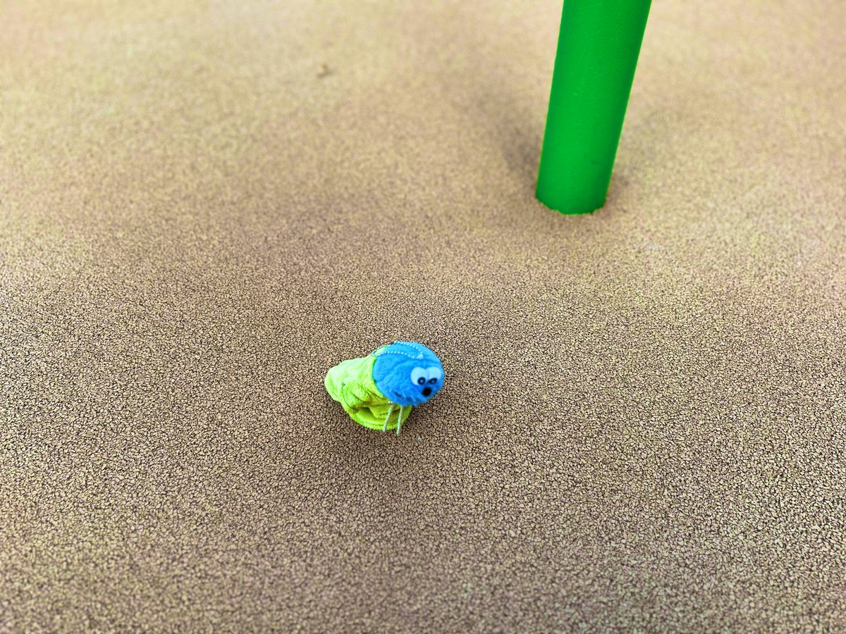 よちよちスンスン*◌¨̮͚ *.ﾟ