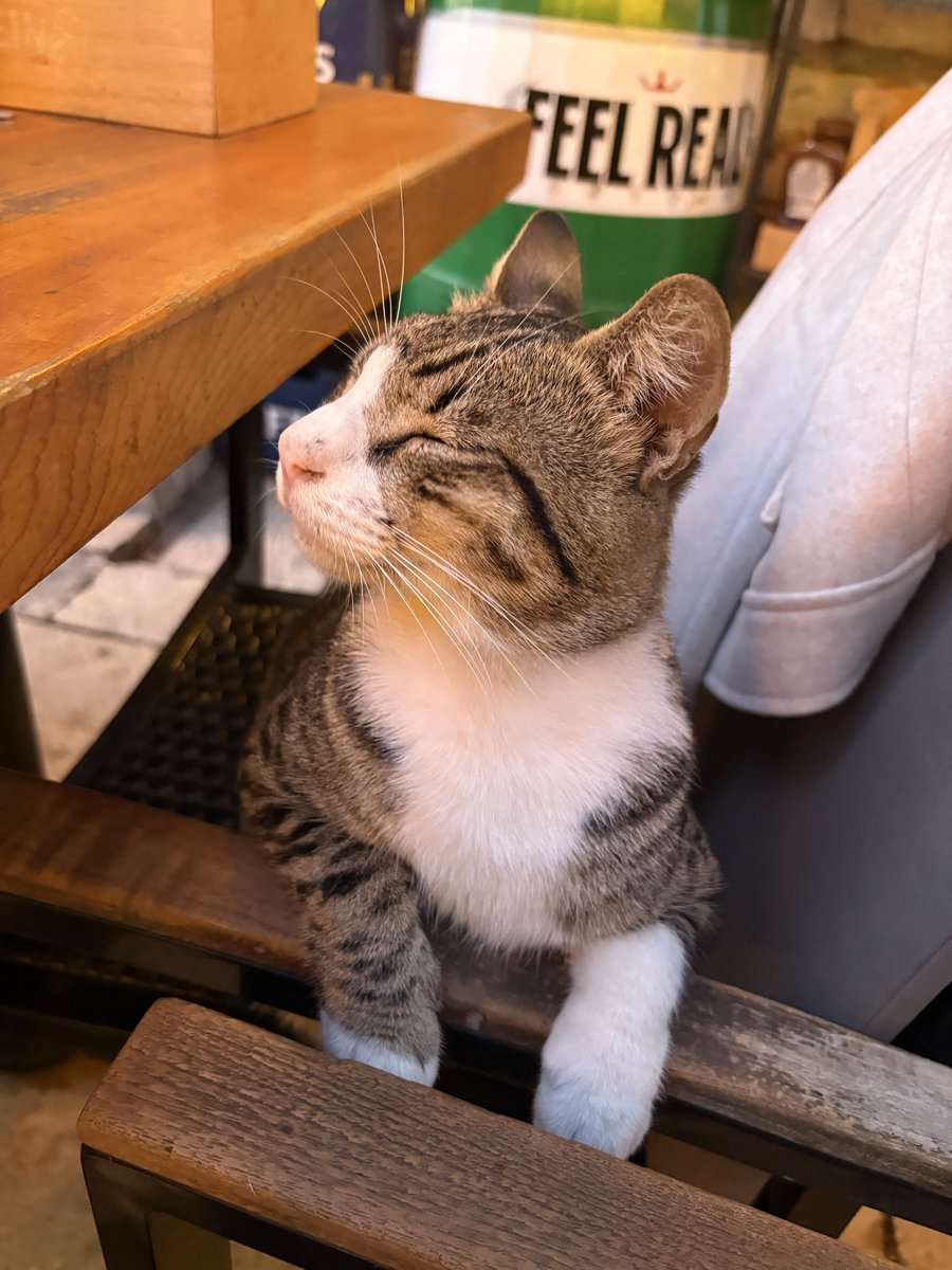 Nermin (@nermindun) on Twitter photo 