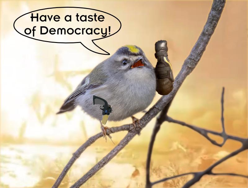 Helldivers NOW (@helldivers_now) on Twitter photo 