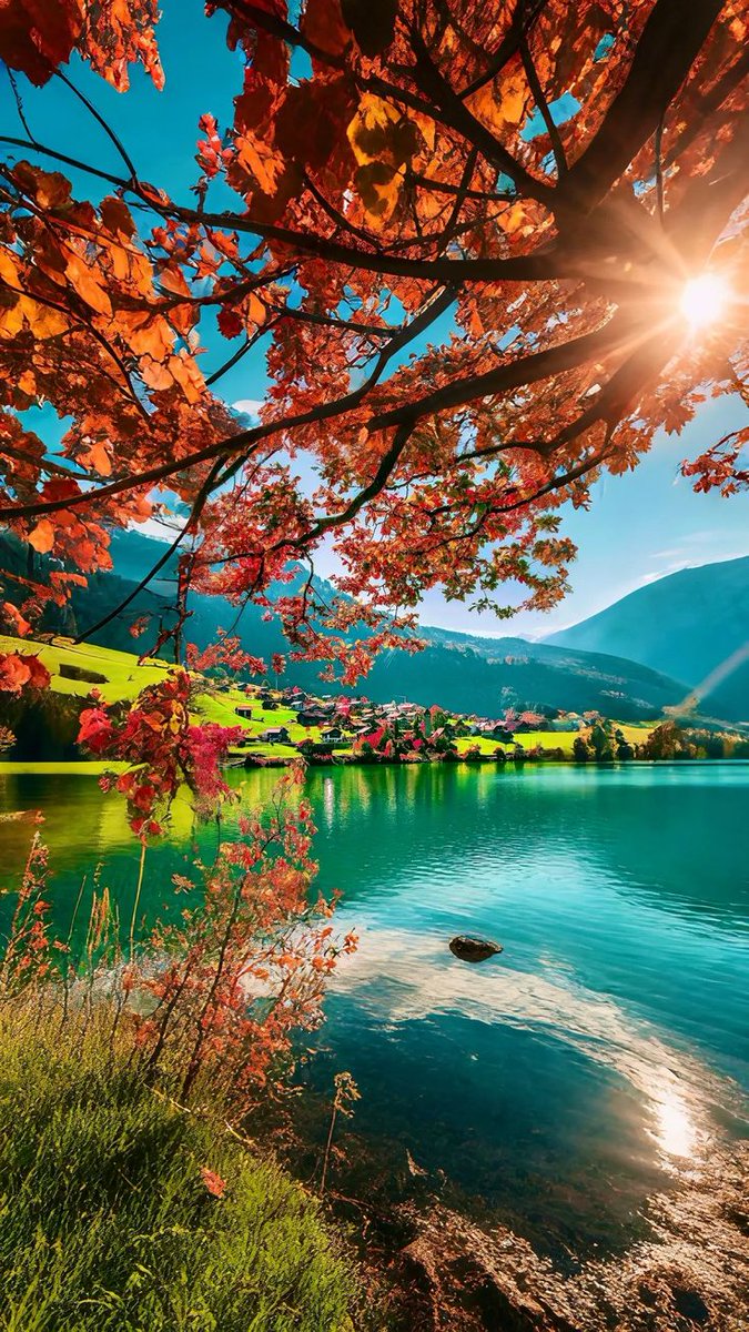 "Nature is pleased with simplicity..!"🌳🍁🌞