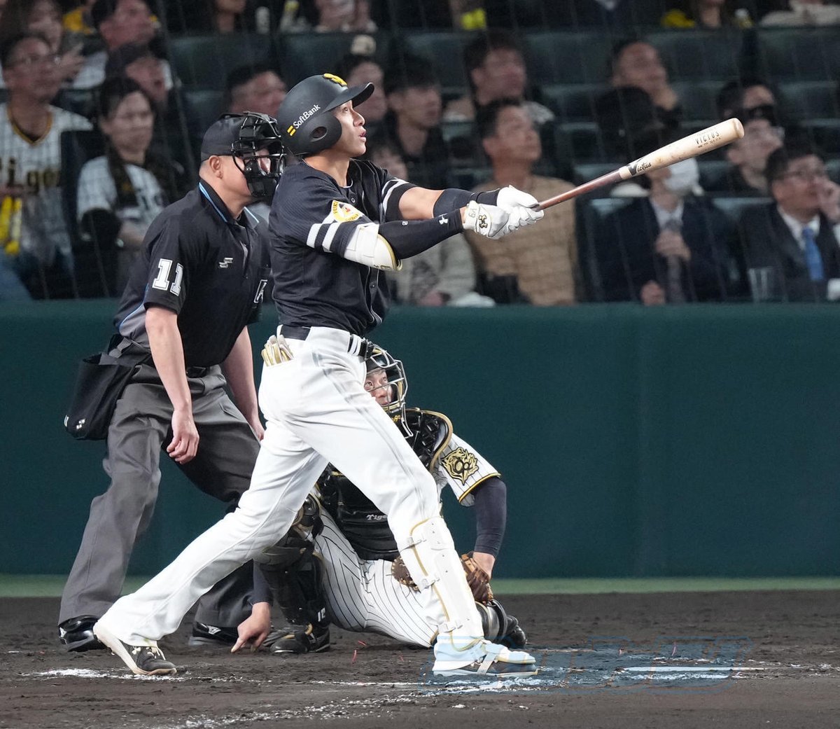 日刊スポーツ西部本社(九州・山口) tweet media