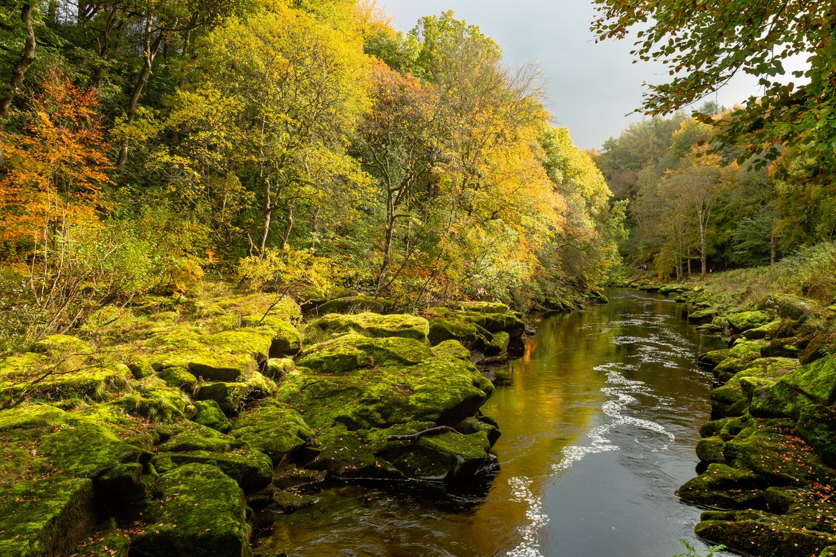 Yorkshire Dales National Park tweet media