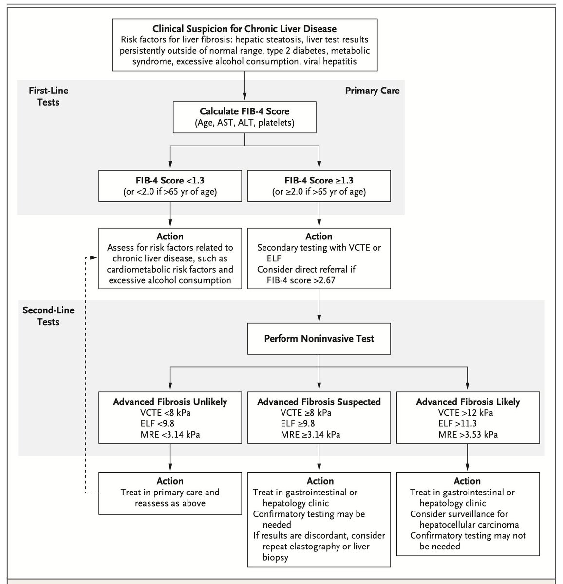 JoseAyonM's tweet photo. 📑NEJM 2025- Noninvasive Assessment of Liver Fibrosis.

DOI: 10.1056/NEJMra2403308 https://t.co/Dzzgt0CAv3
