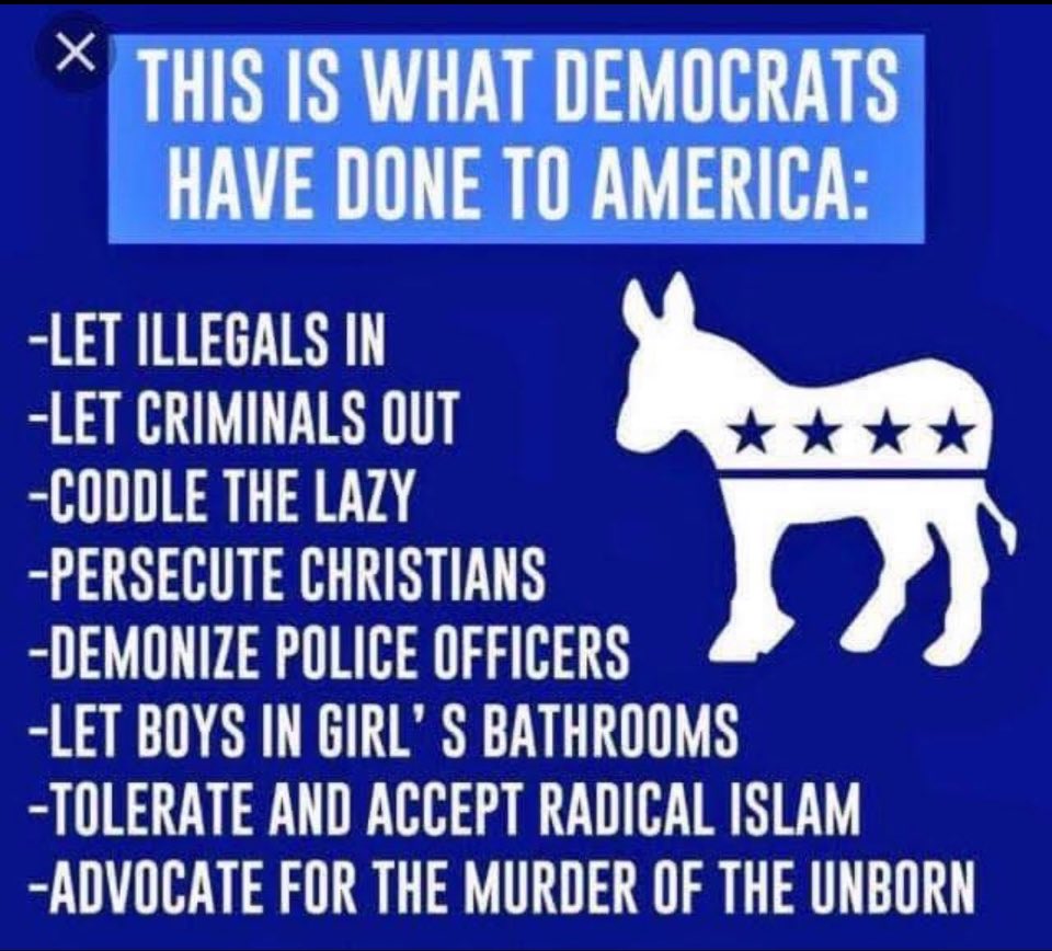 <a href="/ImMeme0/">I Meme Therefore I Am 🇺🇸</a> Democrats are the worst