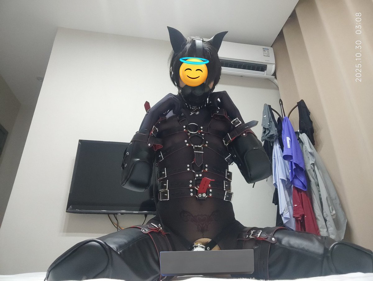 Tan0211114's tweet photo. 我是自己���小狗，
当然要对自己好一点啦
ps：自己穿真累
套装： @BlackMarieChina 

#k9 #k9dog  #母狗 https://t.co/0flPRuDorn