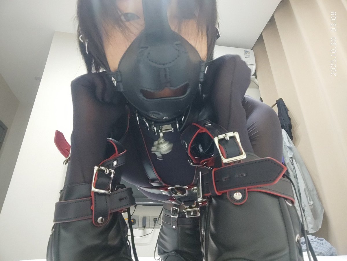 Tan0211114's tweet photo. 我是自己���小狗，
当然要对自己好一点啦
ps：自己穿真累
套装： @BlackMarieChina 

#k9 #k9dog  #母狗 https://t.co/0flPRuDorn