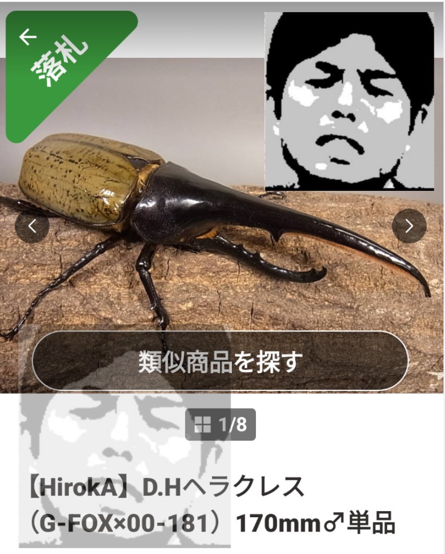 ヘラクレス MICRO RACCOON- Mini Leather Satchel – GRAFEA