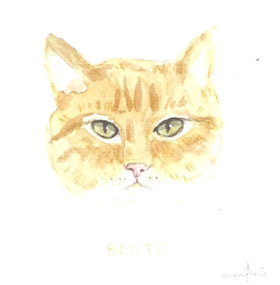 Mili, mi negrito Bimbo y el rubio Besito son otros de mis gathijos adorados, que ya descansan, a los que nunca se olvida y a quienes amo profundamente...
🙏✨😿💔💖💖💖