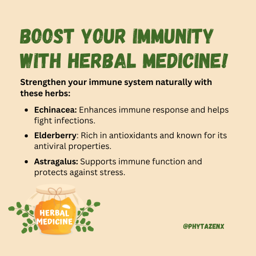 Incorporate these herbs into your wellness routine and stay healthy all year long.💚
.
.
.
#herbalmedicine #naturalmedicine #NFTCommunity