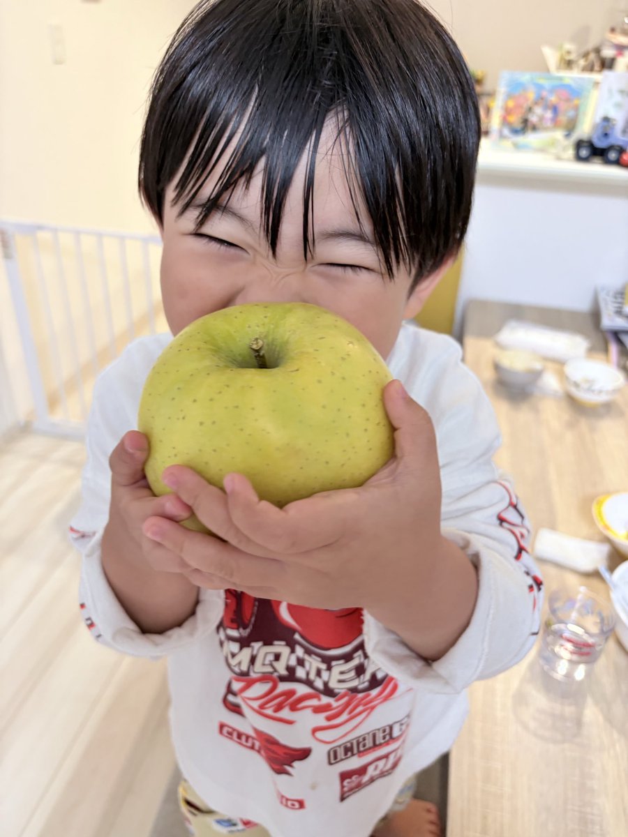 ぺんぎんナッツ中村陽介 tweet media