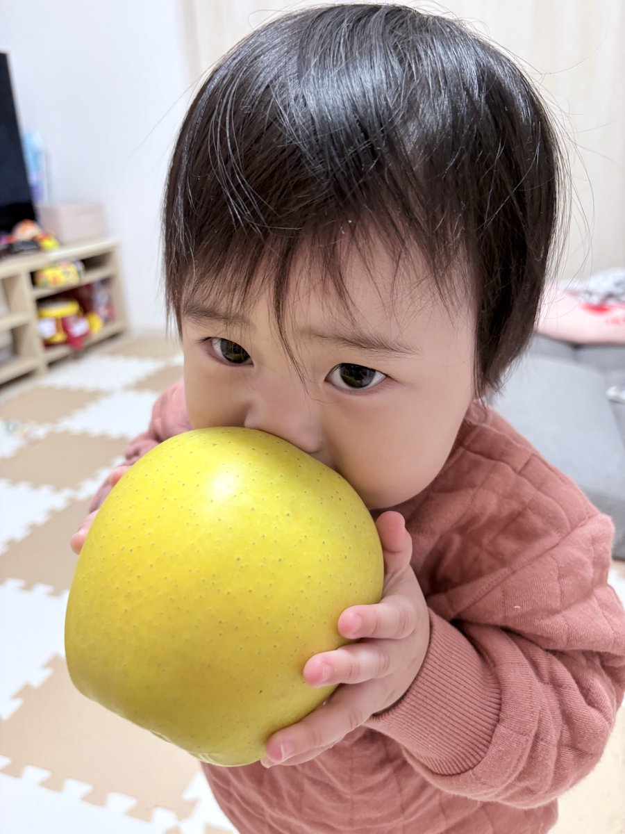 ぺんぎんナッツ中村陽介 tweet media