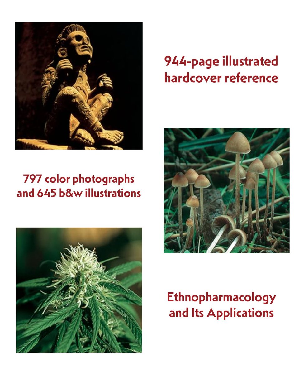This week, we’re looking back at "The Encyclopedia of Psychoactive Plants" by Christian Rätsch. An unparalleled exploration of the ethnobotanical, cultural, and ritual use of psychoactive species across the globe.

ow.ly/Ljrn50Xj2fc

#ThrowbackThursday #ChristianRätsch