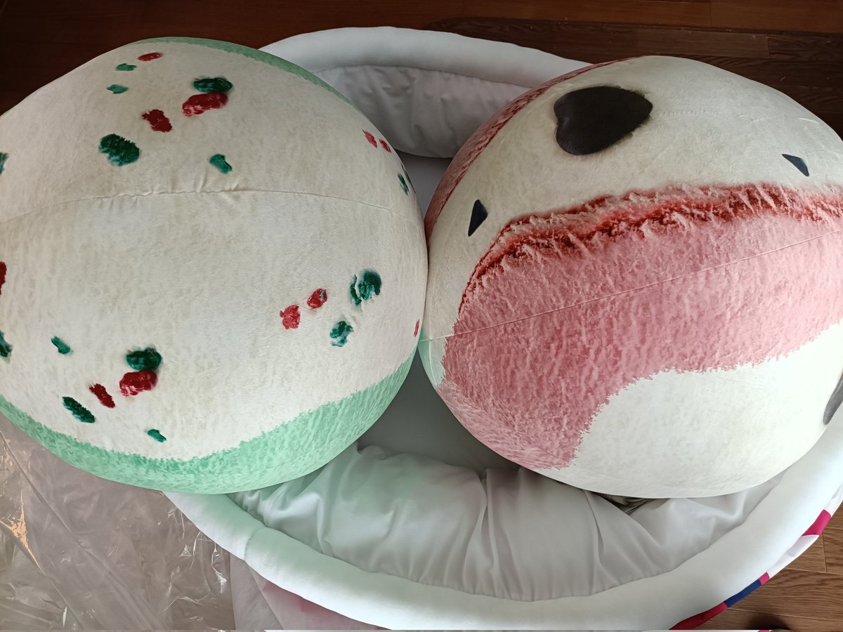 巨大ダブルカップクッション 当たった〜? かわい〜い 
