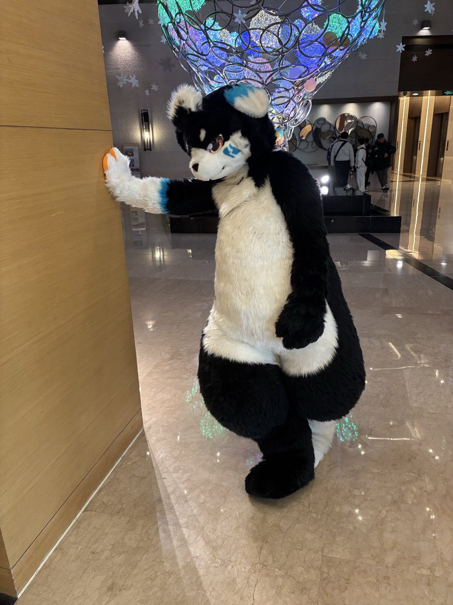 猫葉 까망이→UTFG tweet media
