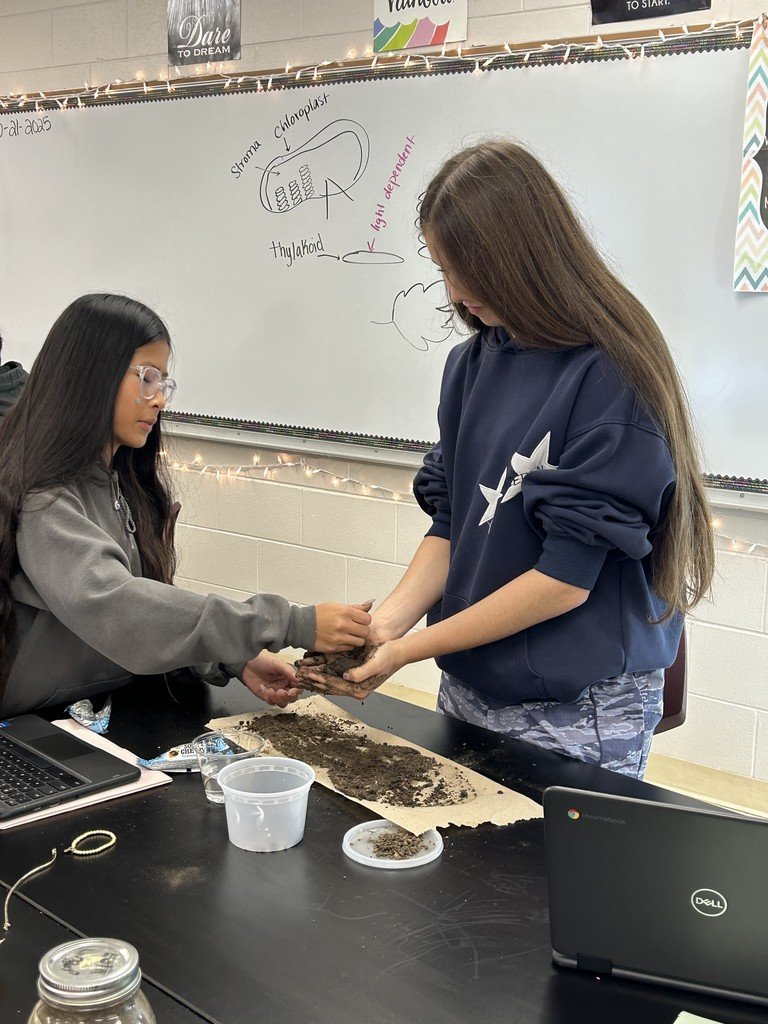 AP Environmental Science students recently completed a soil properties lab. During the lab, students had soil sit in soap for a few days to settle, &amp; then calculated the percentages of each layer to determine the soil type of the sample, as well as a texture test. #weAREwestosha