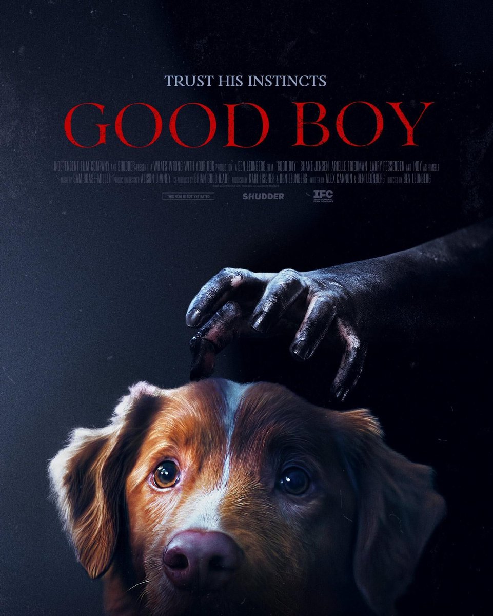 🎬 #GoodBoy 🐶 (2025)
🔊 English ⭐ 3.5/5 🔗 Bio

நாயின்🐶 POVயில் ஒரு பேய் படம்😱

Indy எனும் நாய் தனது முதலாளியுடன் அவரின் தாத்தாவின் வீட்டில் தங்குறாங்க

அங்கு ஏதோவொரு அமானுஷ்ய சக்தியால தனது முதலாளியின் உயிருக்கு ஆபத்து இருப்பதை உணர்ந்த Indy

அவரை காப்பாற்ற என்னலாம் பண்ணுது