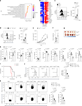 Pelotonia Institute for Immuno-Oncology tweet media