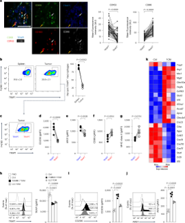 Pelotonia Institute for Immuno-Oncology tweet media