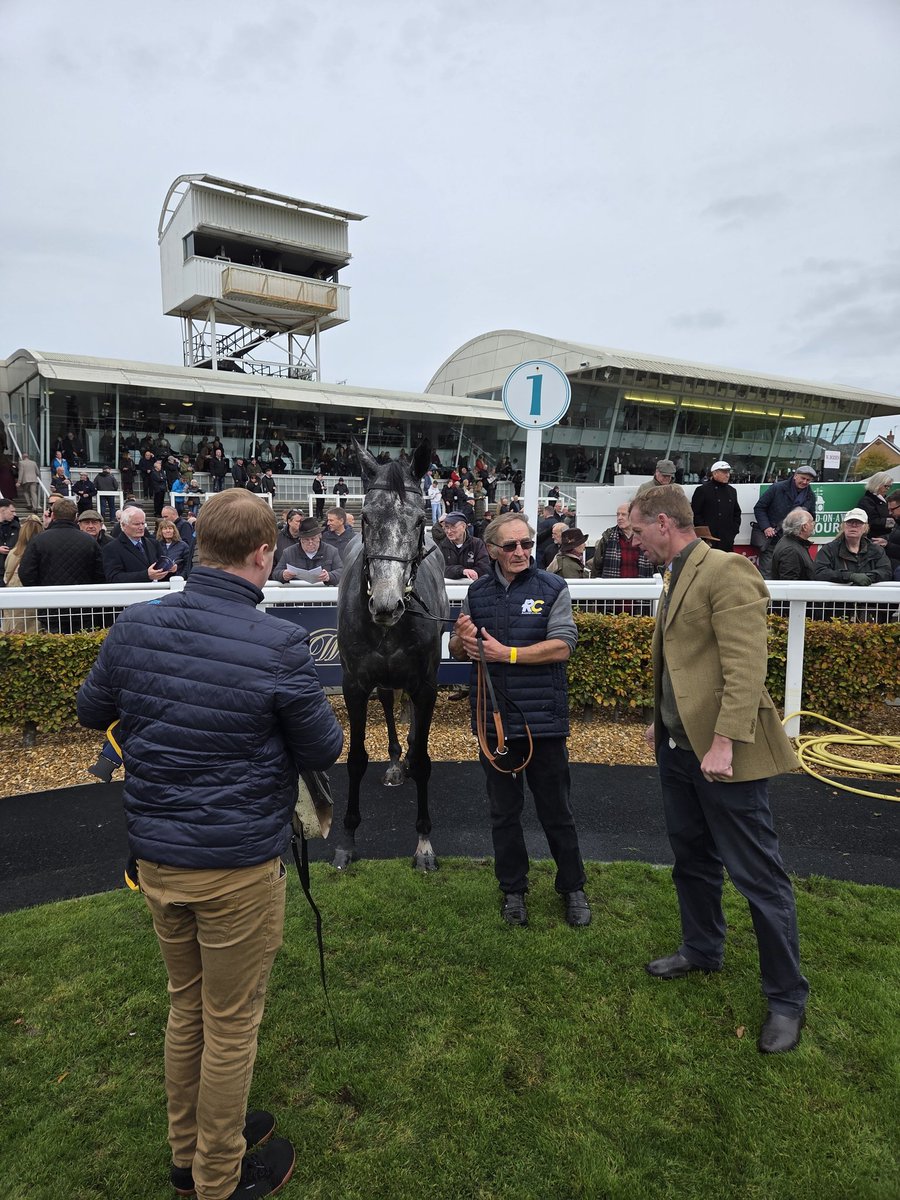 JackYeomanson's tweet photo. @Racingclubvip @GavinSheehan92 @jamiesnowden @GingerJoeRacing @IzzyPhillips Queen Ronda surveying her subjects https://t.co/eQNWlemoPJ