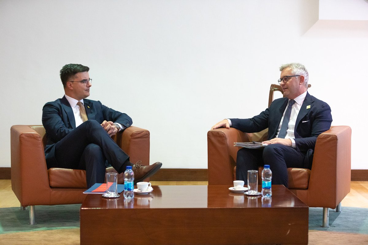 Magnus Brunner tweet media