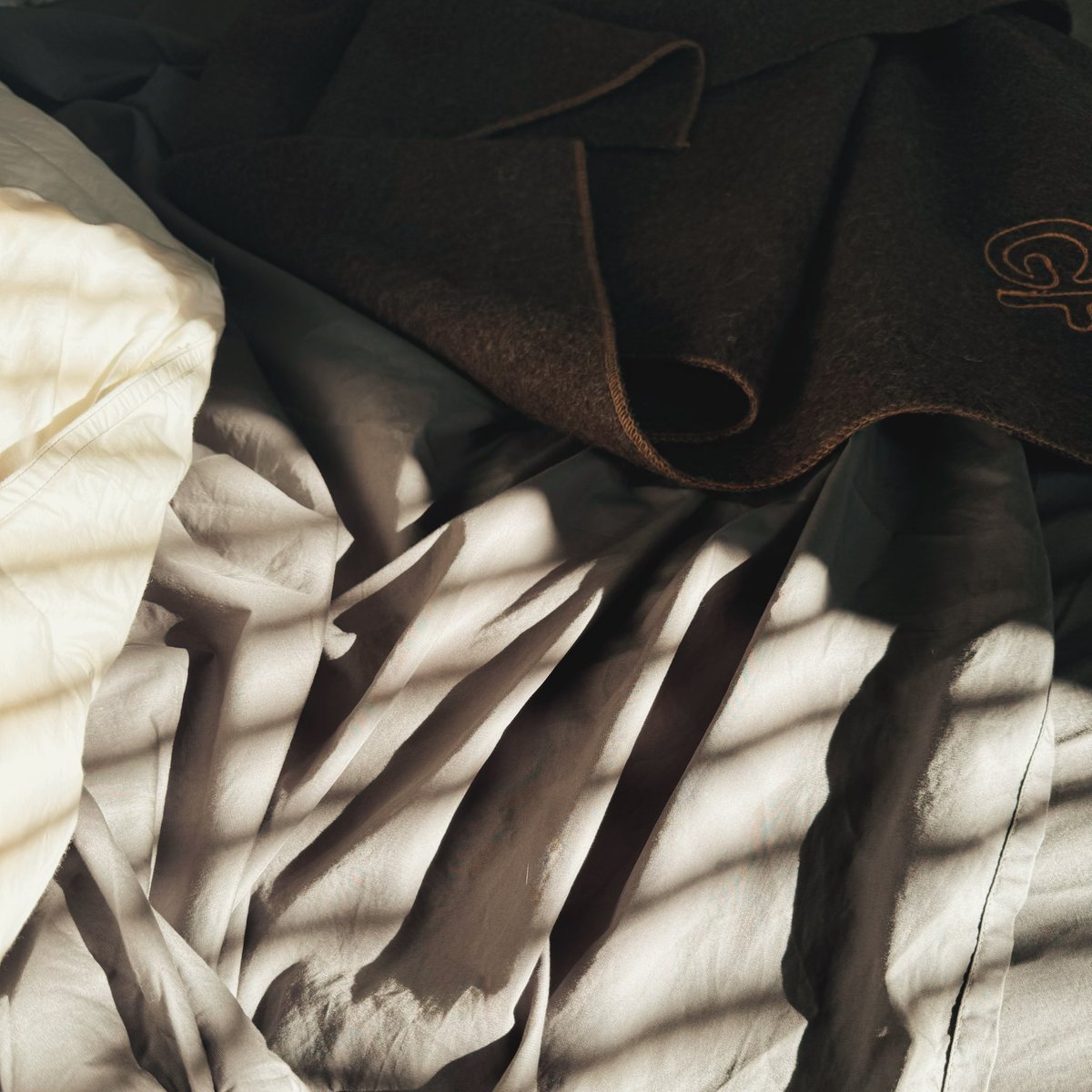 firtive 🌾🍂 (@firtive) on Twitter photo 