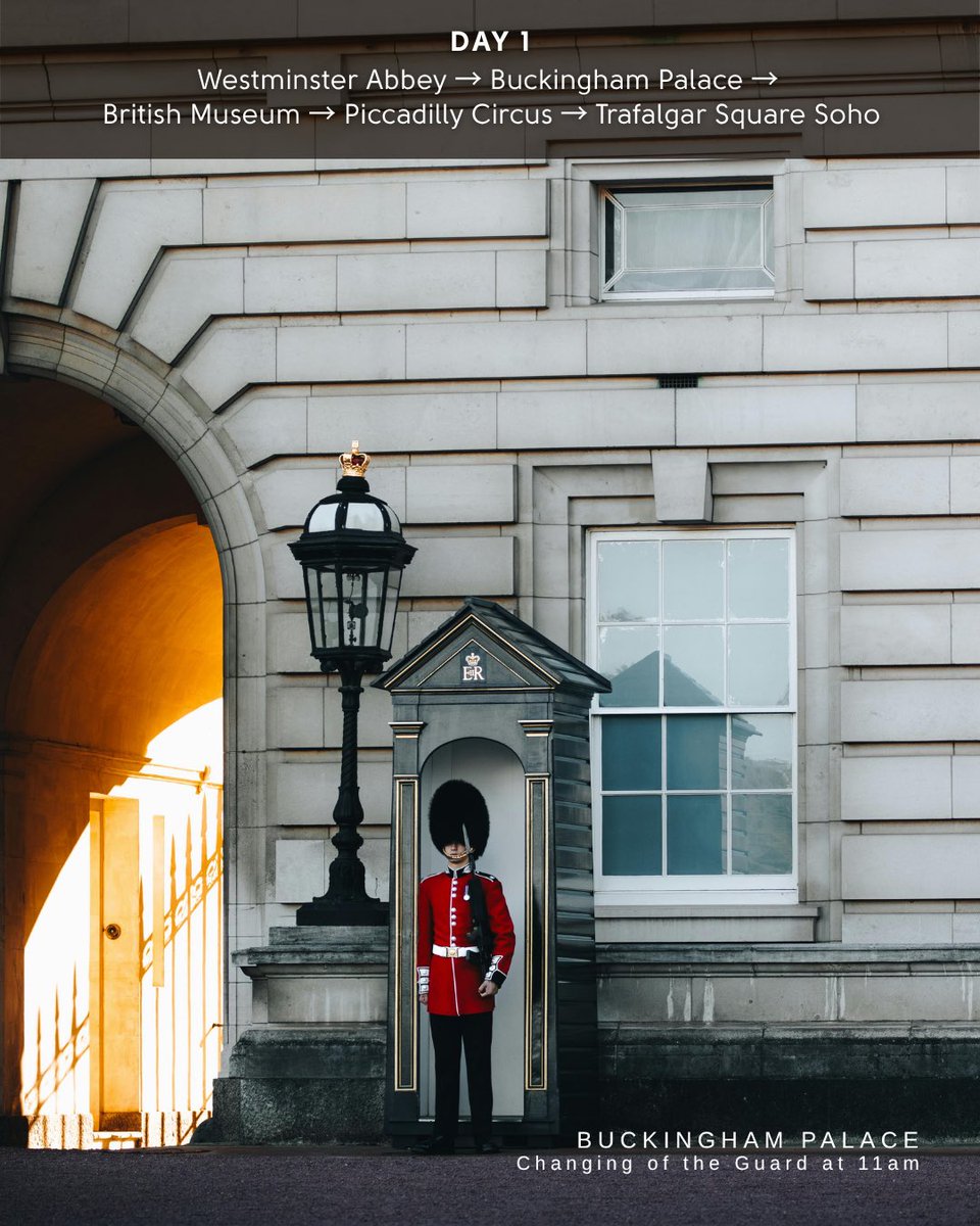 World Playground tweet media