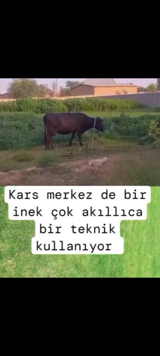 Sinan (@sinancoooo) on Twitter photo 