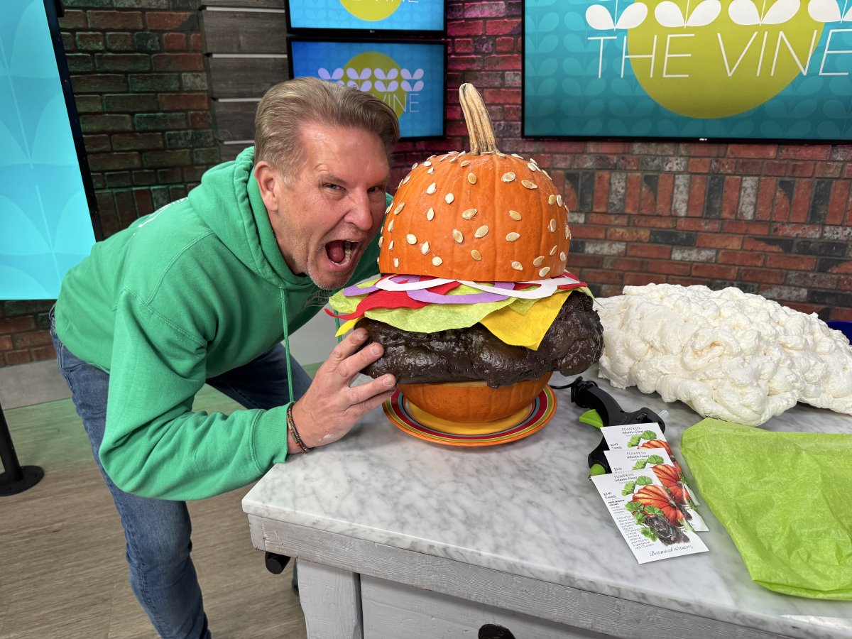 On The Vine this morning Chris H. Olsen bakes up his Chris burger with the help of a pumpkin.  Watch THV11.