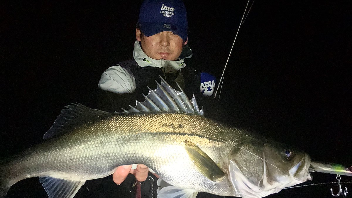 限定 キャスティング パズデザイン ima コラボ 2024 NEW ARRIVAL – LURES | ima 公式ブランドサイト-オンライン