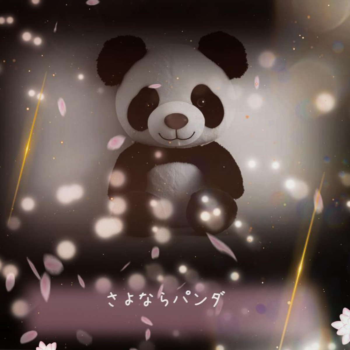 てぃあら てぃあら/TIARA (@tiara0207) / Posts / X