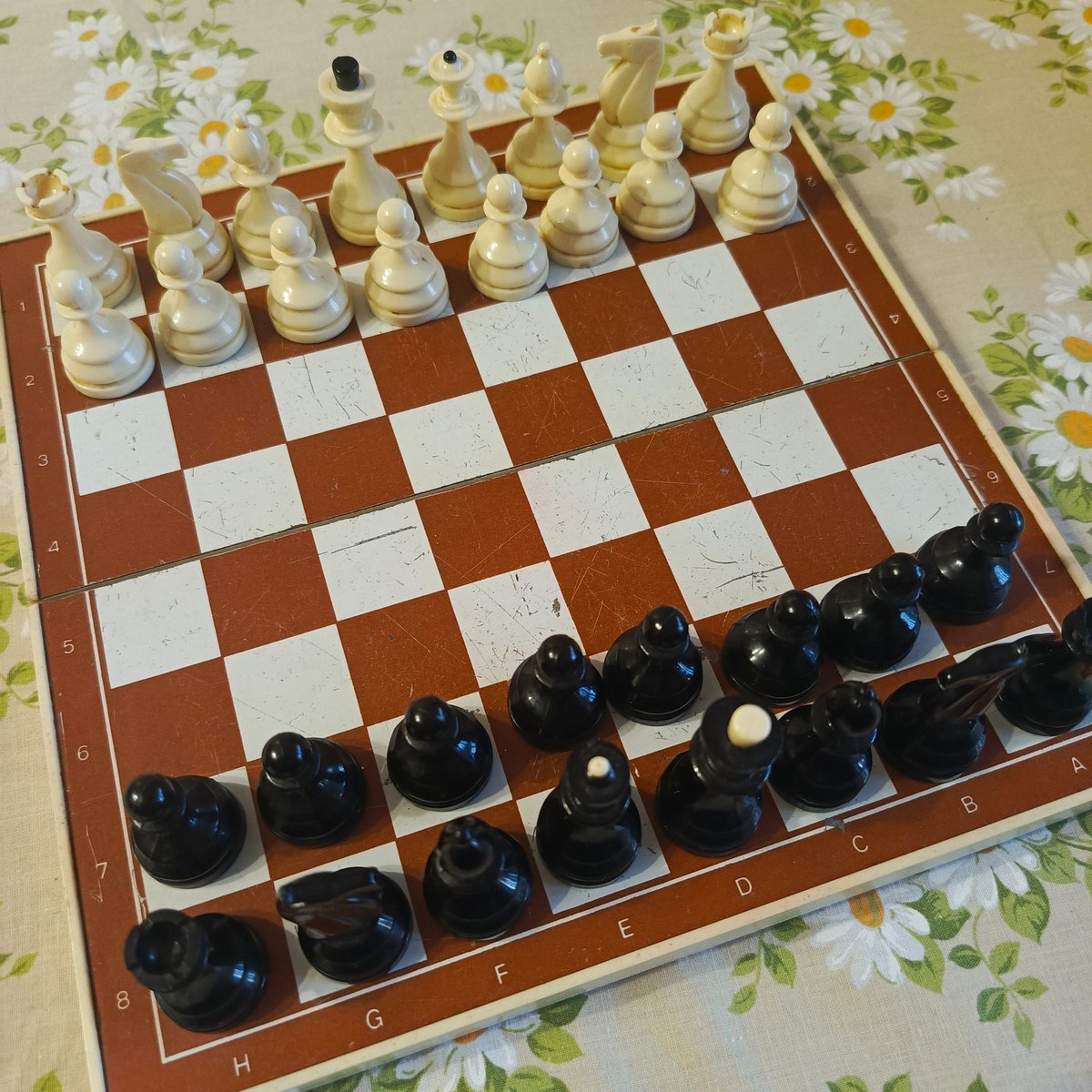 roman 🕊️ tweet media