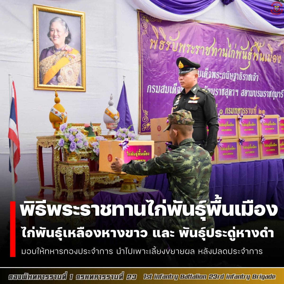 Rta231's tweet photo. ✍️ รับไก่พันธุ์พื้นเมืองพระราชทานฯ นำไปเลี้ยงขยายผล ต่อยอดสู่ชุมชน หลังปลดประจำการ
. 
ณ ศูนย์ผลิตพันธุ์สัตว์ปีกพระราชทาน “เพื่อนช่วยเพื่อน” พื้นที่อีสานใต้ ส่วนแยกนครราชสีมา (ร.23 พัน.1)
#กองพันทหารราบที่1กรมทหารราบที่23
#กองพลทหารราบที่6
#กองทัพภาคที่2 
#กองทัพบก https://t.co/REHmYf8qfY