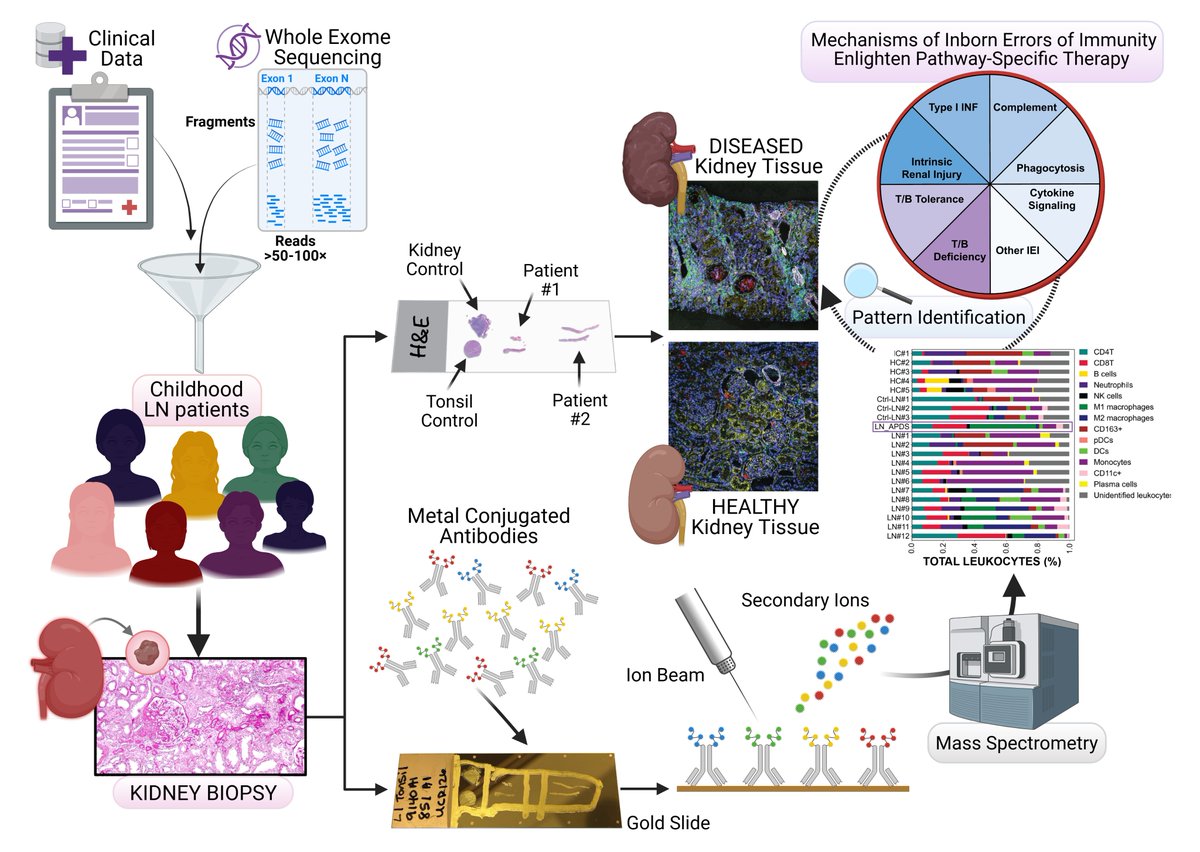 November A&amp;R Clinical Connections

🍽️ Dietary Polyunsaturated Fatty Acid and the Risk of Rheumatoid Arthritis

💊 Precision Medicine in Pediatric Autoimmunity: Leniolisib Treatment of Childhood-Onset LN Due to Activated PI3Kδ

acr.tw/4p4AkRZ