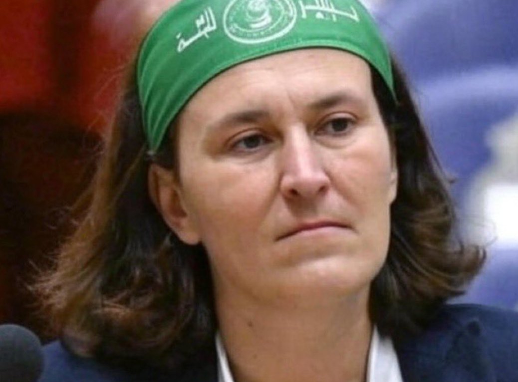 Paulus1020's tweet image. Dit bedoelt zij met groen.